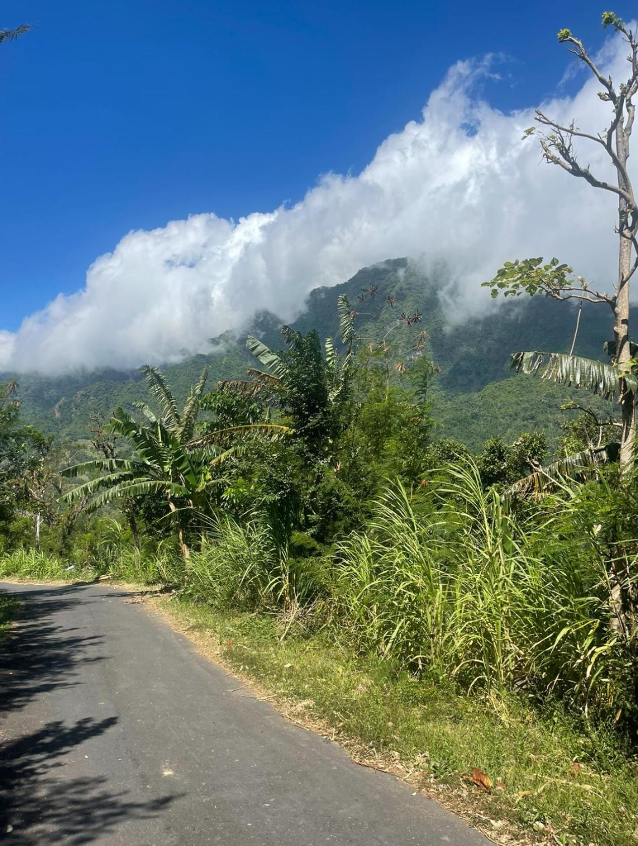 فيلا Tropical Habitat Bali آميدْ المظهر الخارجي الصورة