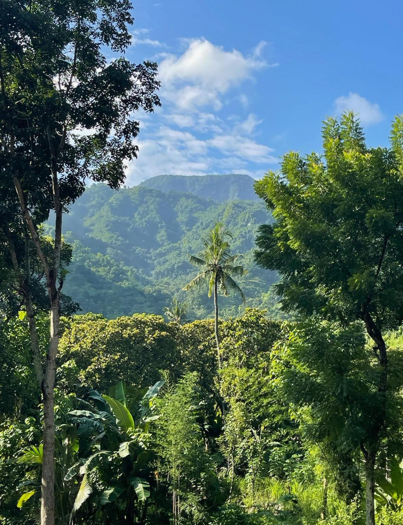 فيلا Tropical Habitat Bali آميدْ المظهر الخارجي الصورة