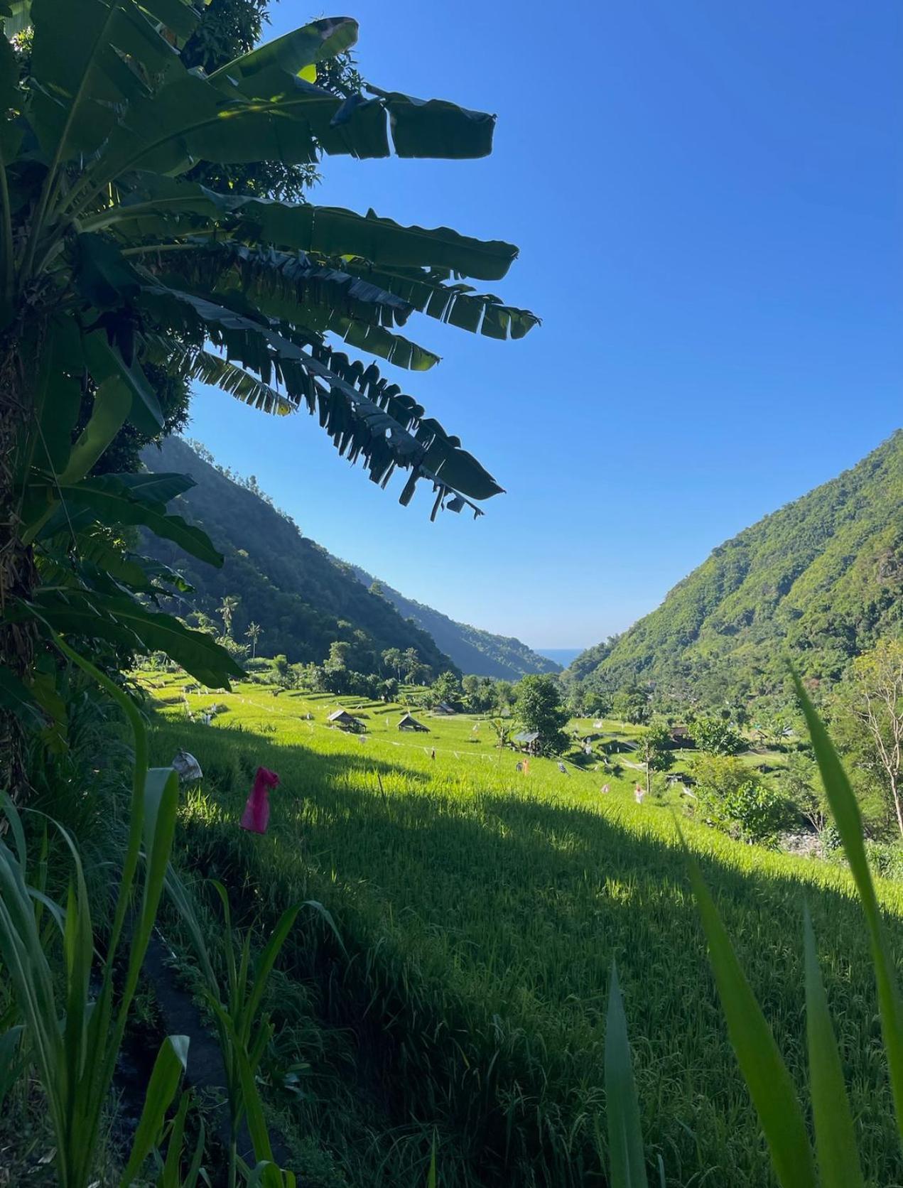 فيلا Tropical Habitat Bali آميدْ المظهر الخارجي الصورة