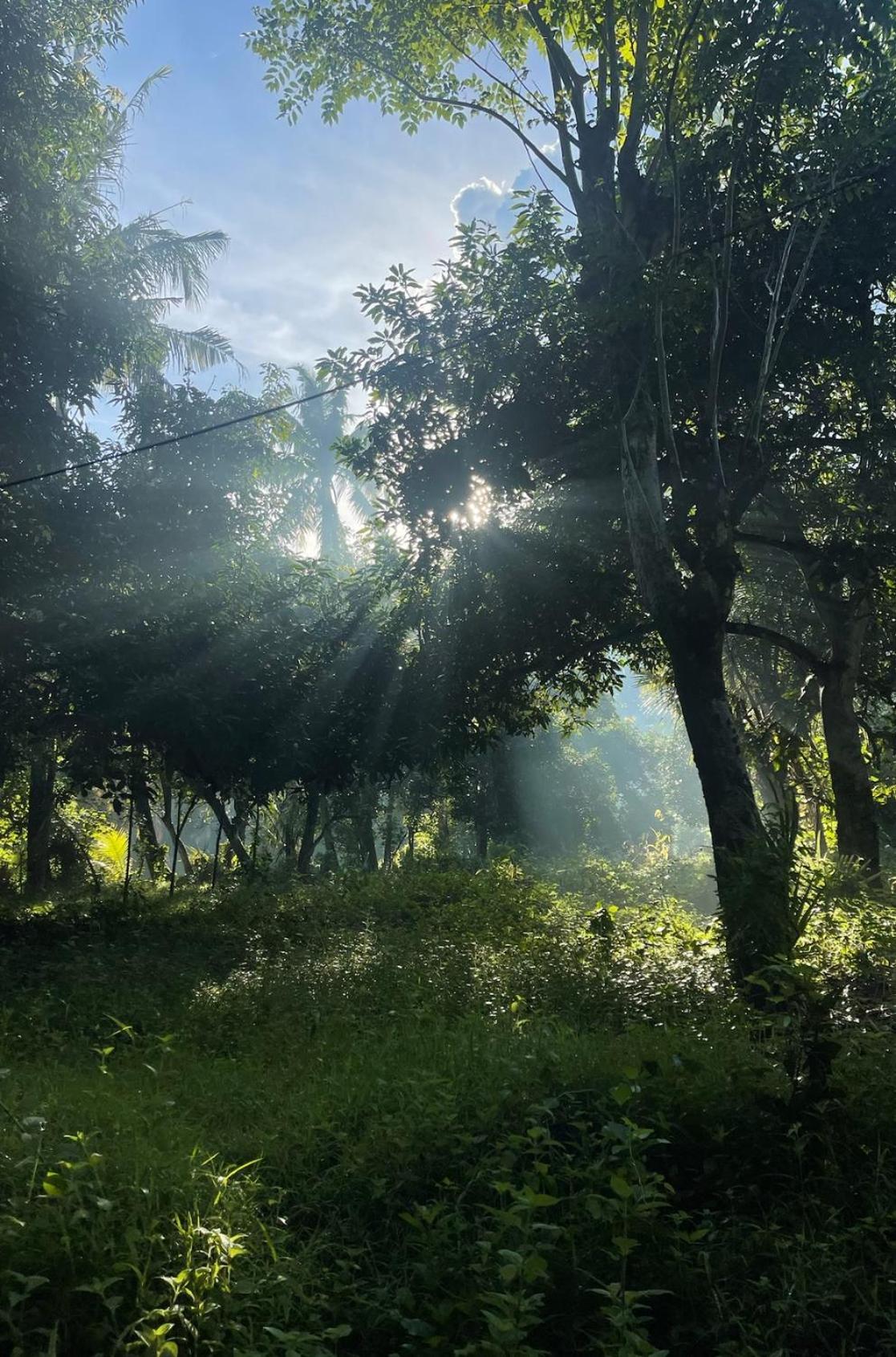 فيلا Tropical Habitat Bali آميدْ المظهر الخارجي الصورة