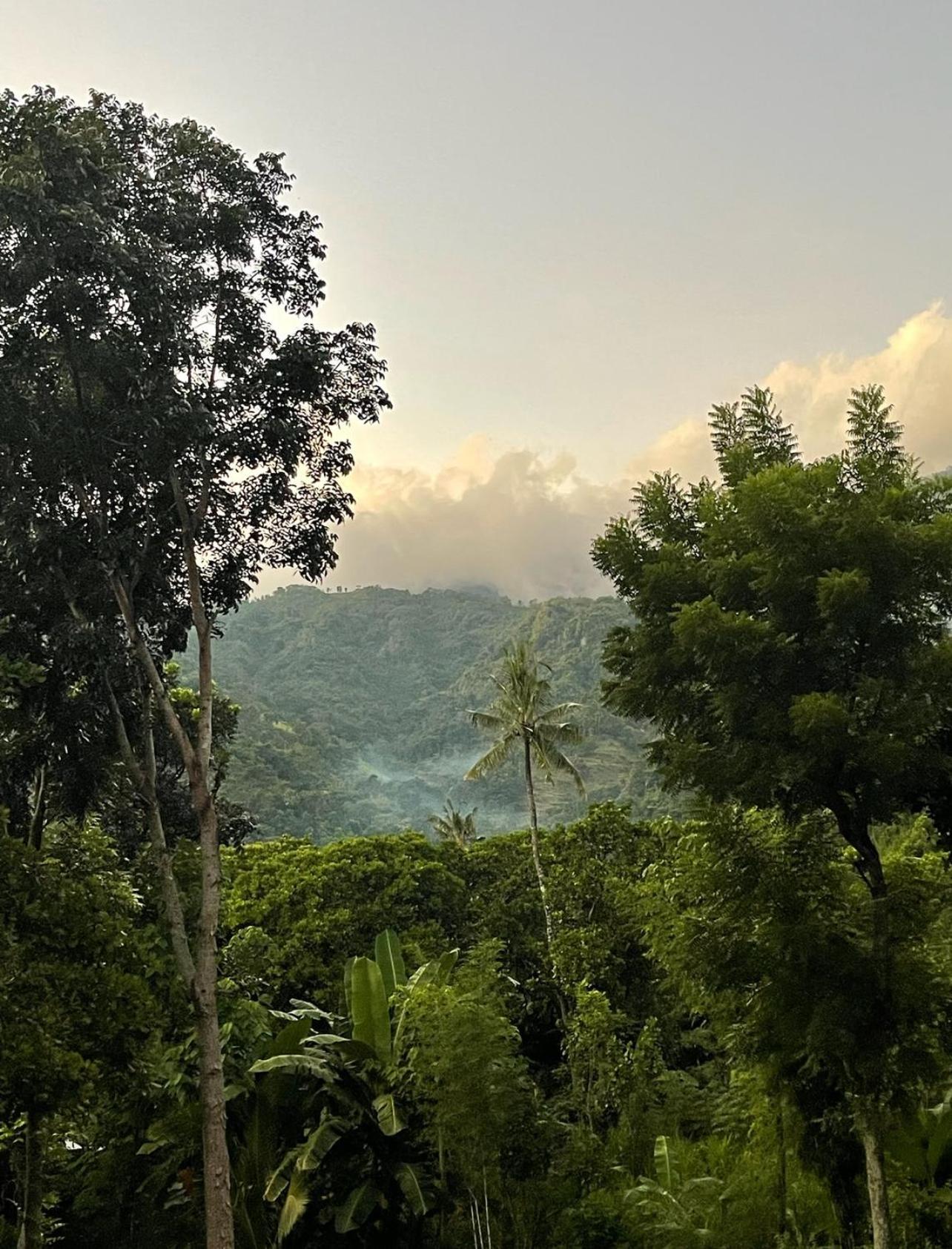 فيلا Tropical Habitat Bali آميدْ المظهر الخارجي الصورة