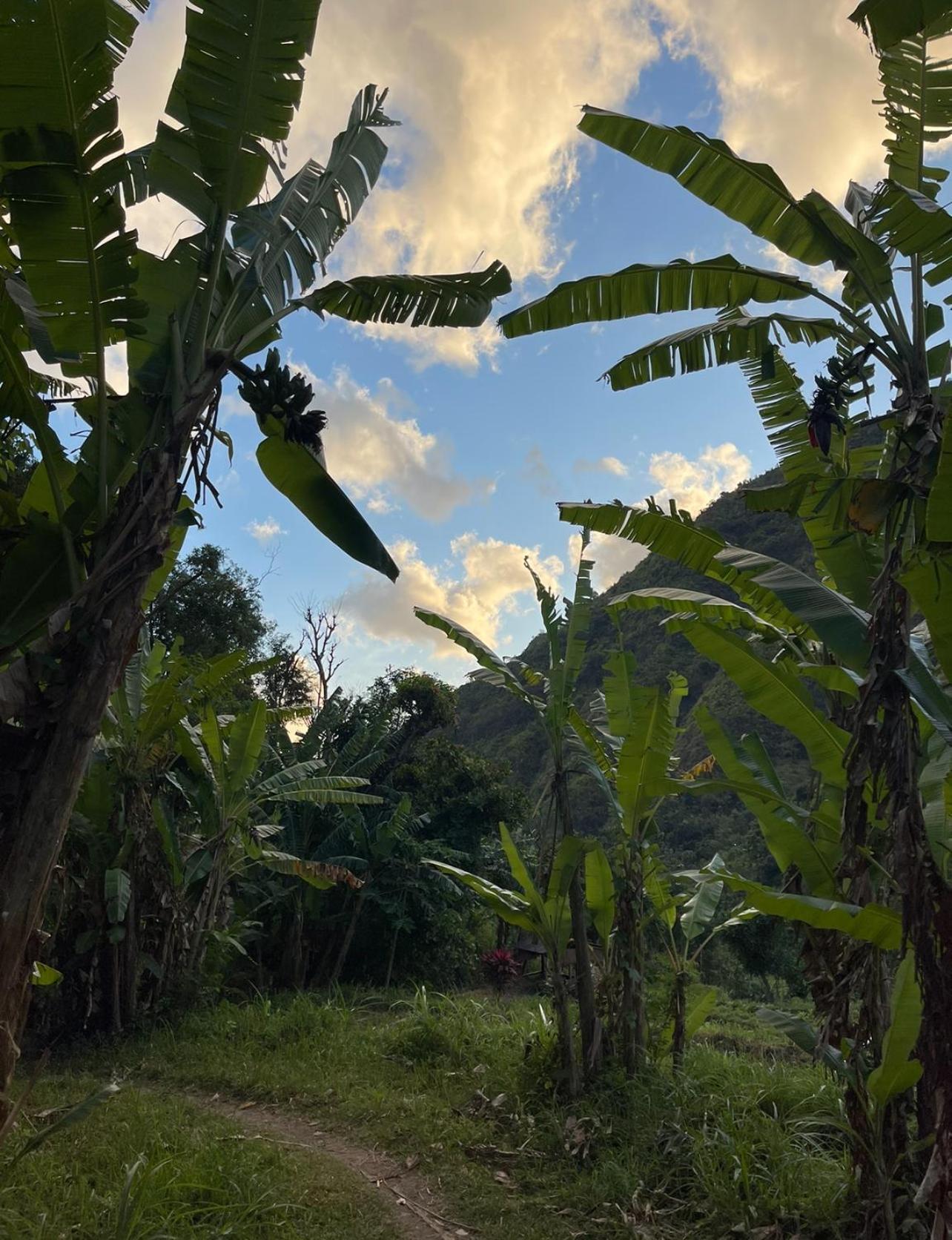 فيلا Tropical Habitat Bali آميدْ المظهر الخارجي الصورة