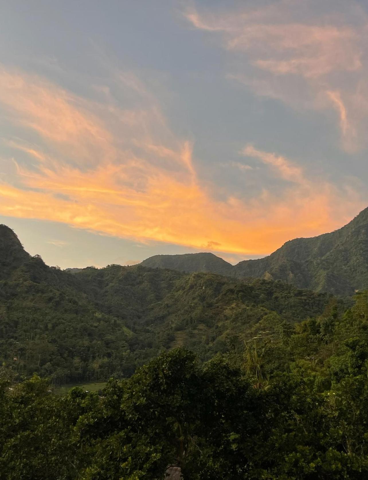 فيلا Tropical Habitat Bali آميدْ المظهر الخارجي الصورة
