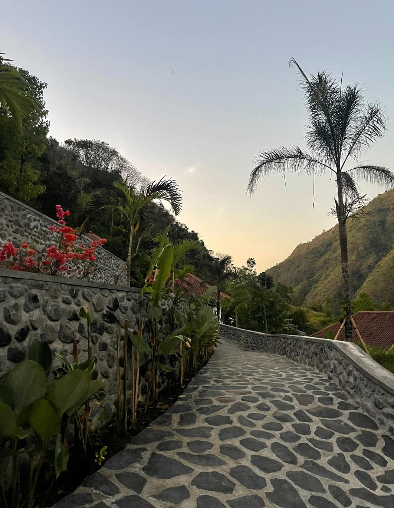 فيلا Tropical Habitat Bali آميدْ المظهر الخارجي الصورة