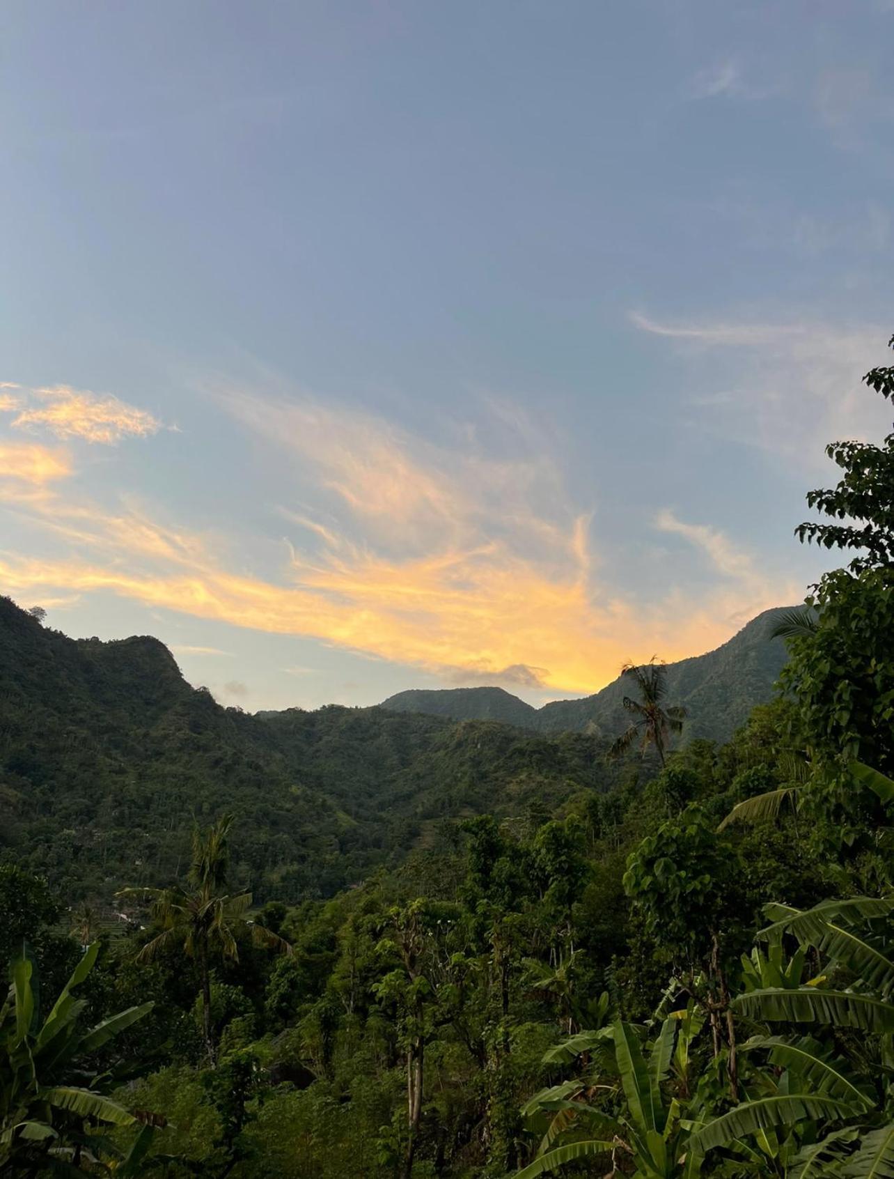 فيلا Tropical Habitat Bali آميدْ المظهر الخارجي الصورة