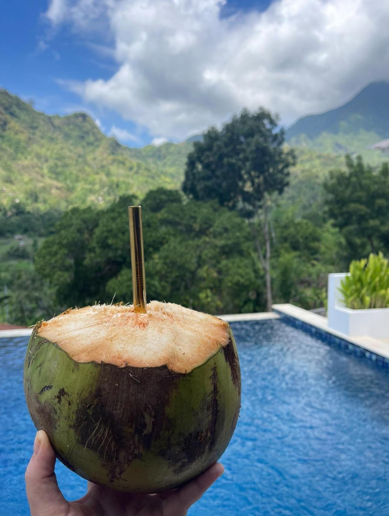 فيلا Tropical Habitat Bali آميدْ المظهر الخارجي الصورة
