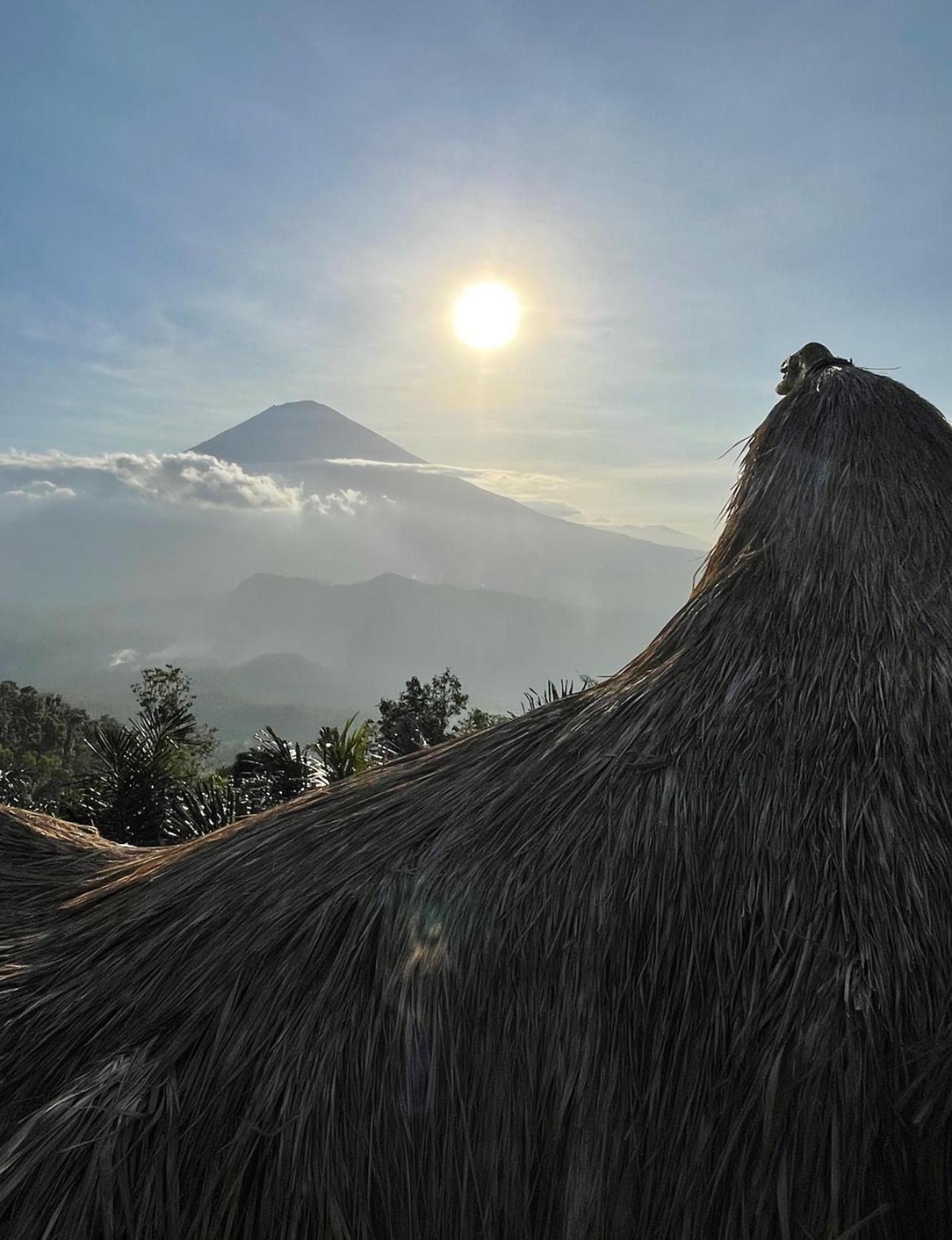 فيلا Tropical Habitat Bali آميدْ المظهر الخارجي الصورة